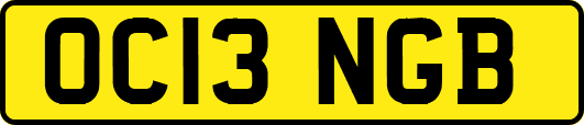 OC13NGB