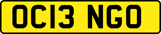 OC13NGO