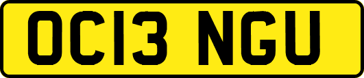 OC13NGU