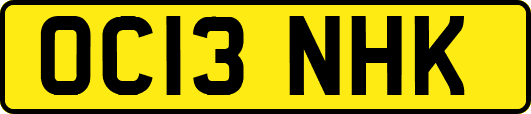 OC13NHK