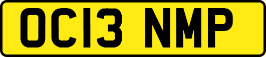 OC13NMP
