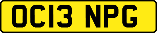 OC13NPG