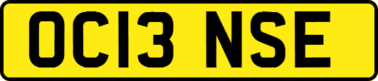 OC13NSE