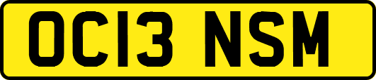 OC13NSM