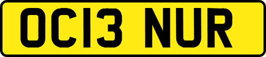 OC13NUR