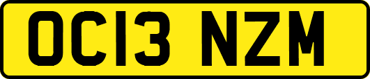 OC13NZM