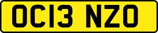 OC13NZO