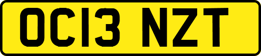 OC13NZT
