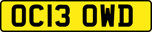 OC13OWD
