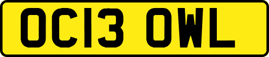 OC13OWL