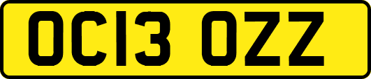 OC13OZZ