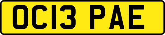 OC13PAE