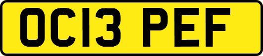 OC13PEF