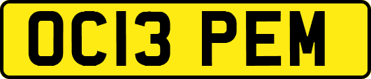 OC13PEM