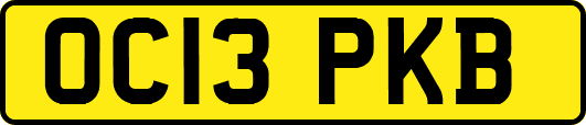 OC13PKB
