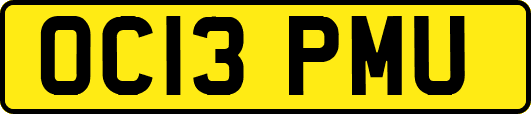 OC13PMU