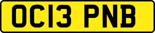 OC13PNB