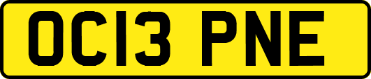OC13PNE