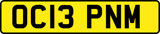 OC13PNM