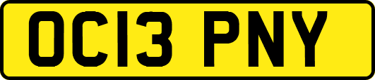 OC13PNY