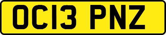OC13PNZ