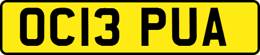 OC13PUA