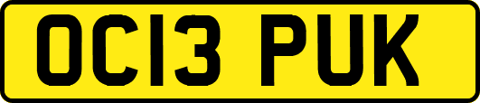 OC13PUK
