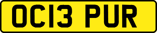 OC13PUR