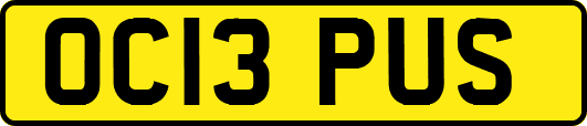 OC13PUS