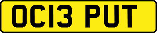 OC13PUT