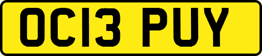 OC13PUY