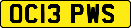 OC13PWS