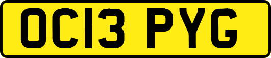 OC13PYG