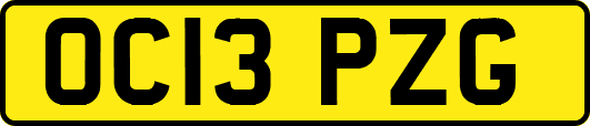 OC13PZG