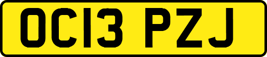 OC13PZJ
