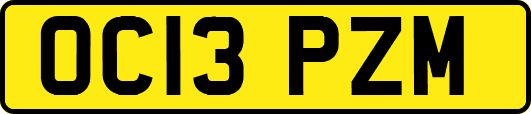 OC13PZM