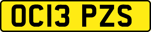 OC13PZS