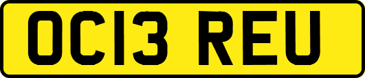 OC13REU
