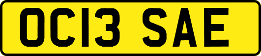OC13SAE