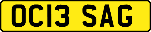 OC13SAG