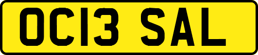 OC13SAL