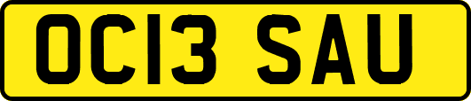 OC13SAU