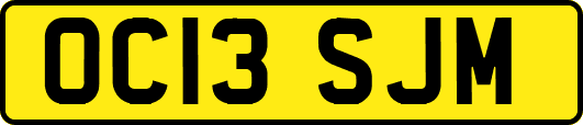 OC13SJM