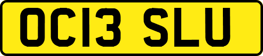 OC13SLU