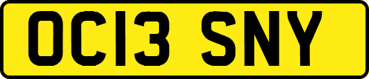 OC13SNY