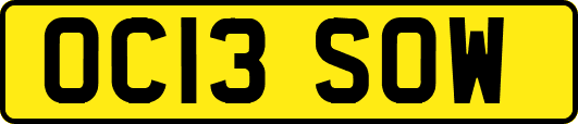 OC13SOW
