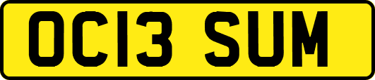 OC13SUM