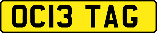 OC13TAG