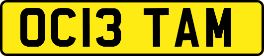 OC13TAM