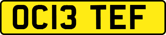 OC13TEF